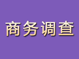 靖宇商务调查